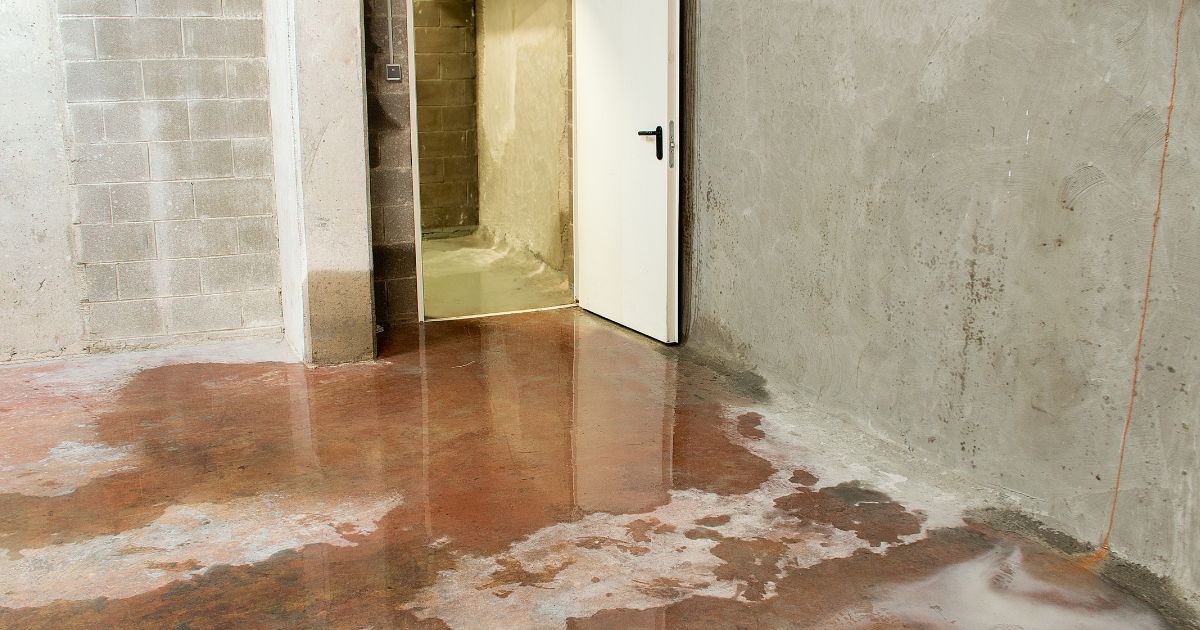 sewage-backup-basement