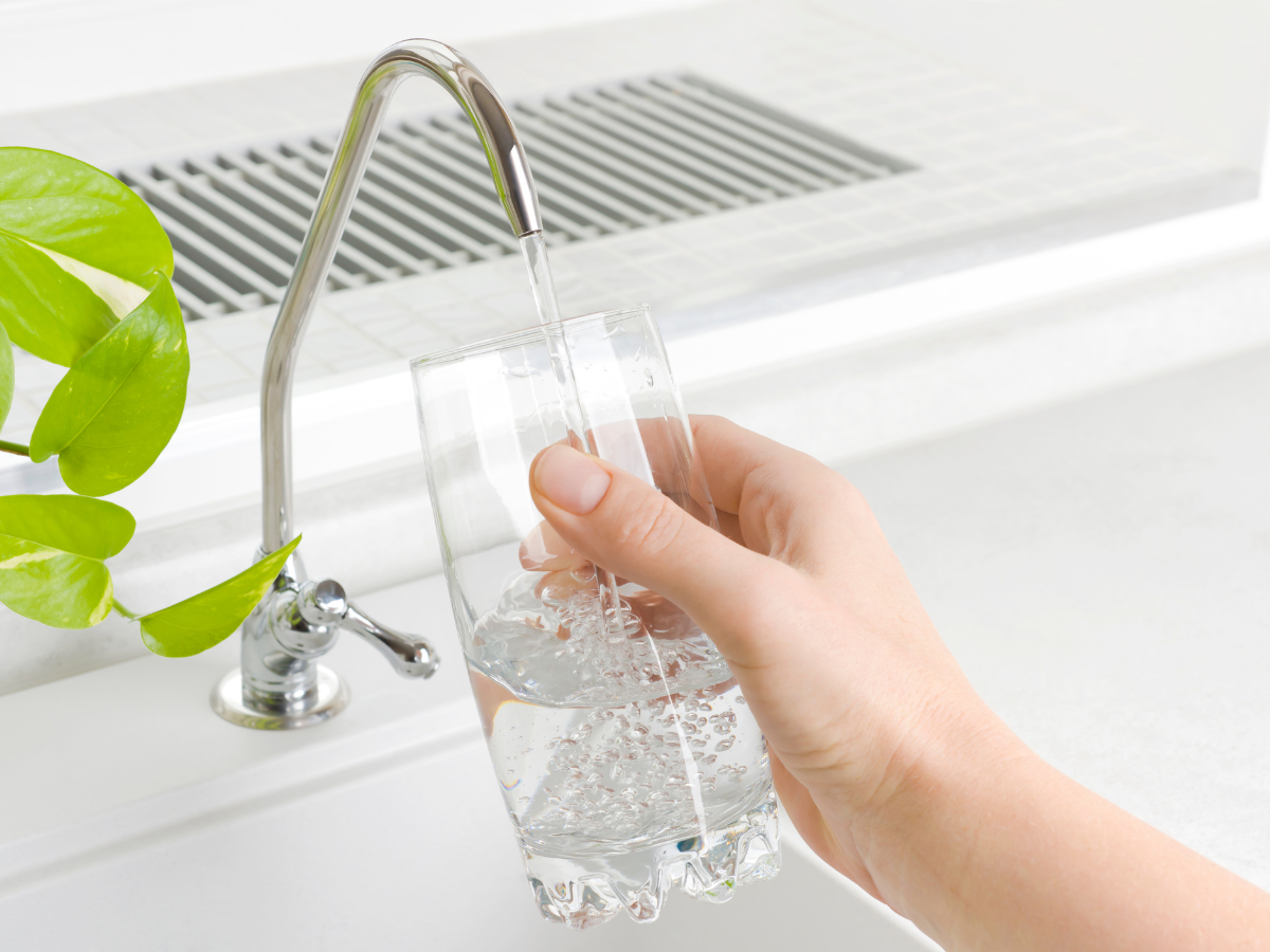 Water Softener vs Water Filter: Which One Do You Need?
